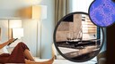 Germs in Hotel Rooms