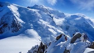 Mont Blanc is the highest mountain in the Alps.
