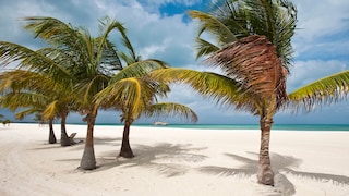 Tripadvisor's "Best of the Best" Beaches are announced annually—find out which ones made it to the top this year.