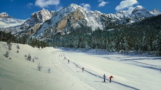 A cross-country skiing center in Italy makes a public appeal to tourists