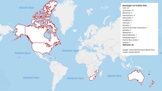 The map shows the countries with the most documented shark attacks on humans in 2025, including both fatal and non-fatal incidents.