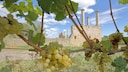 Bad Dürkheim Wine