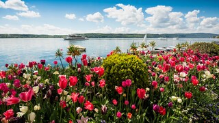 Hidden Gems at Lake Constance: Ueberlingen Shore
