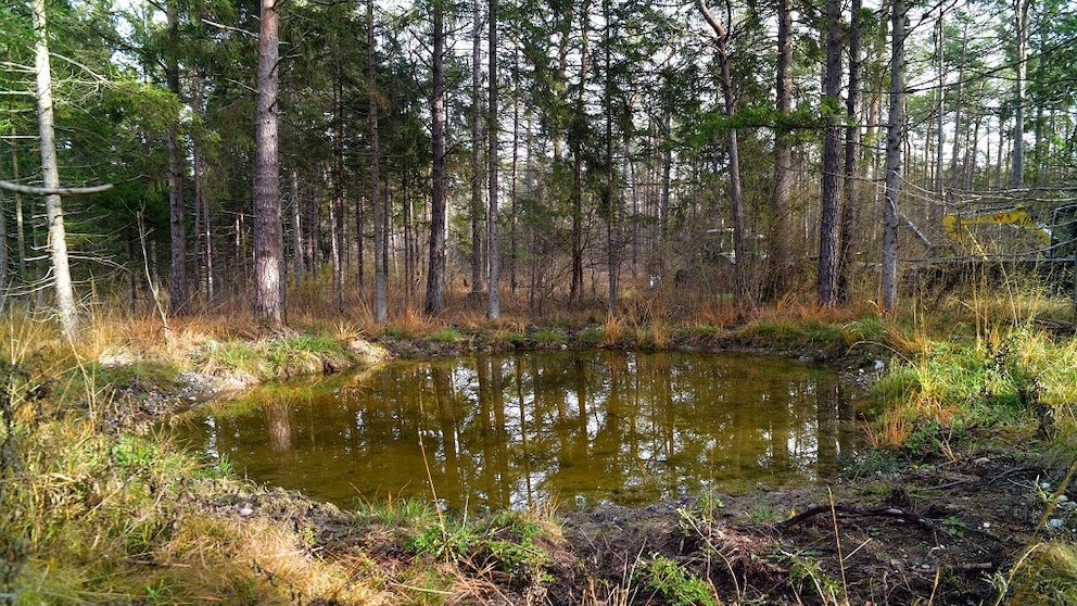 Heavenly Pond