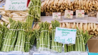 Asparagus Farms in Germany