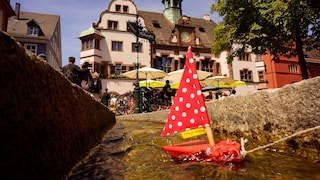 The Bächle are now something of an unofficial symbol of the city of Freiburg. They have existed since the 13th century.