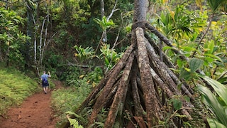 Kalalau Trail