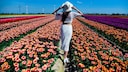 Tulip Excursion Destinations