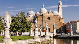 Padua Tips