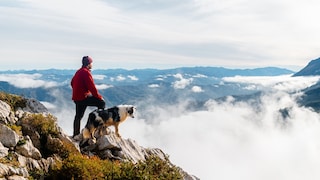 Hiking with a Dog