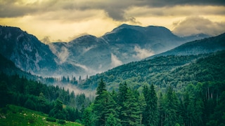 Carpathian Romania National Park