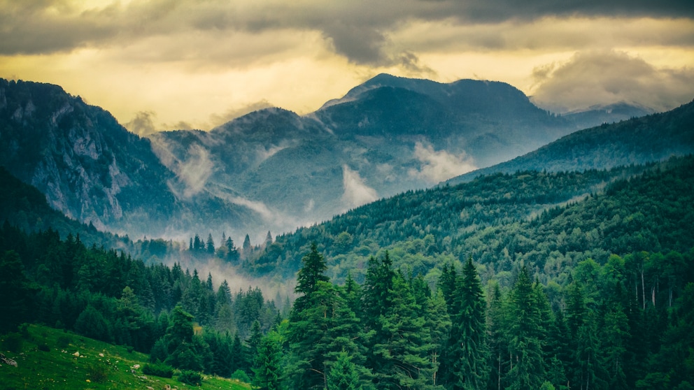 Carpathian Romania National Park