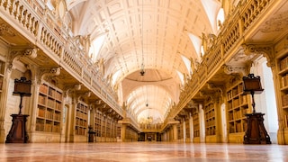 Library Bats