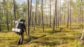 Finland's Treasure Hunt: Gold Under the Midnight Sun