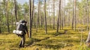 Finland's Treasure Hunt: Gold Under the Midnight Sun