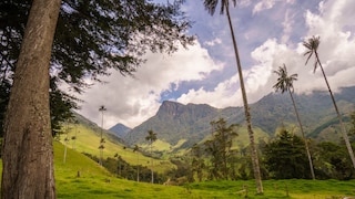 During a hike through the Valle de Cocora, our author was nearly arrested.