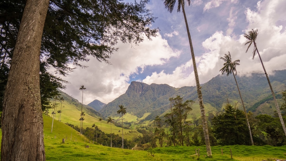 During a hike through the Valle de Cocora, our author was nearly arrested.