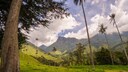 During a hike through the Valle de Cocora, our author was nearly arrested.
