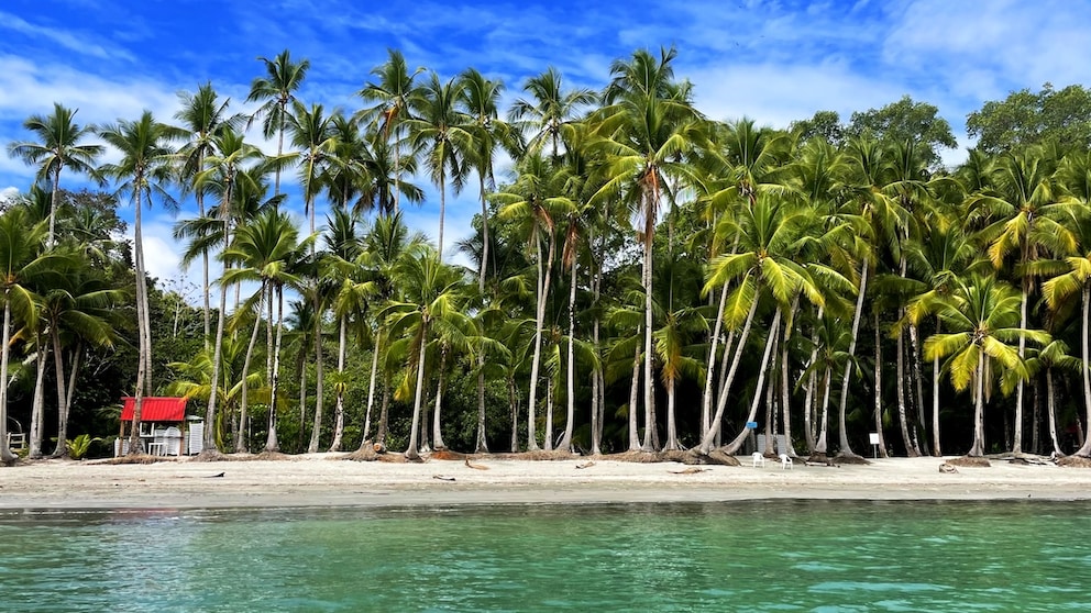 Panama Boca Chica