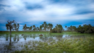 Iberá National Park in Argentina