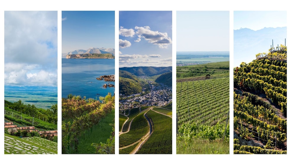 Which Is the Most Beautiful Wine Region in Europe?