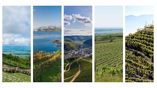 Wine Regions of Europe