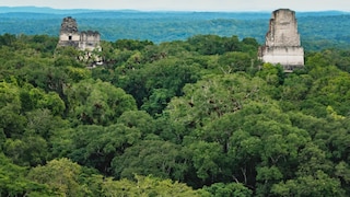 Tikal Ruins in Petén, Guatemala