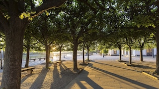 Where to Find a Shady Spot in the Heat? An Online Map Shows Real-Time Shade Locations