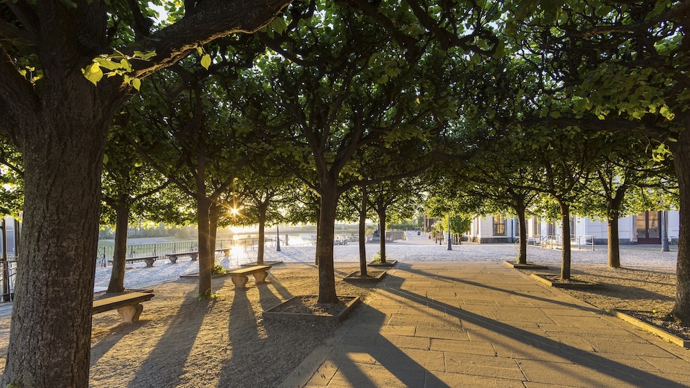 Where to Find a Shady Spot in the Heat? An Online Map Shows Real-Time Shade Locations