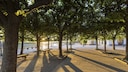 Where to find a shady spot in the heat? An online map shows real-time shade locations