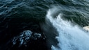 The Denmark Strait cataract is the world's highest underwater waterfall (stock image).