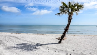 In Denmark, there is a palm beach that evokes the tropical Caribbean.