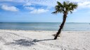 In Denmark, there is a palm beach that evokes the tropical Caribbean.