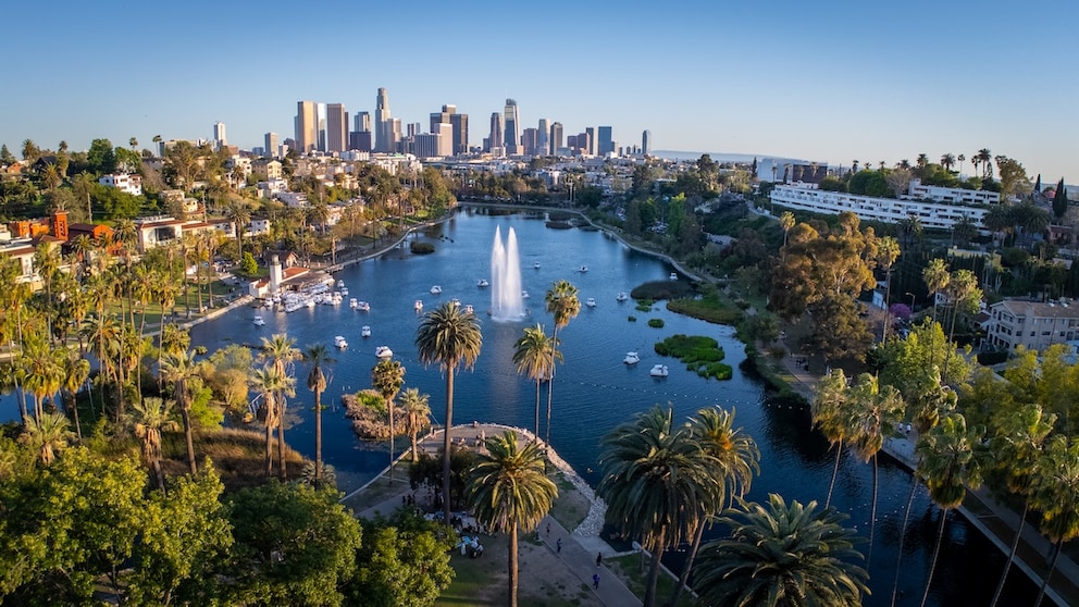 Los Angeles Surprises