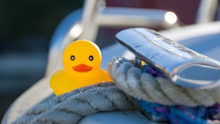 Shipping Companies Take Action Against These Bright Yellow Rubber Ducks