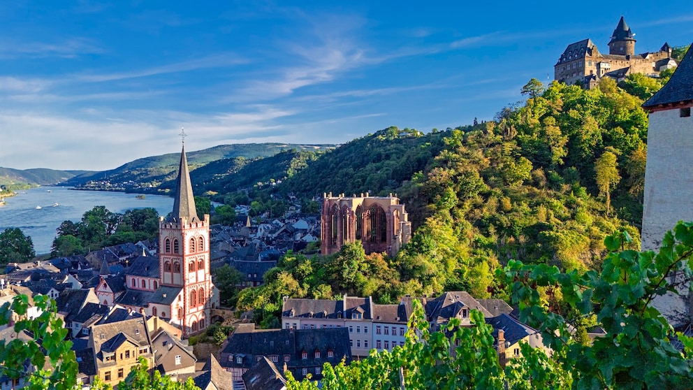Bacharach Revitalized