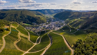 The Ahr Valley was awarded the title of Europe's most beautiful wine region at the TRAVELBOOK Award.