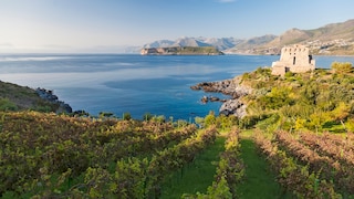 Calabria's Wine Landscapes