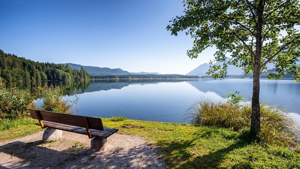 This lake is located in Germany's most hospitable state. Can you guess which one?