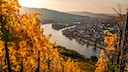 Wine Regions in Germany: Mosel Wine