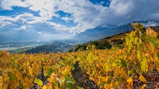 The Swiss Wine Region of Valais
