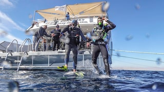 diving in the Red Sea